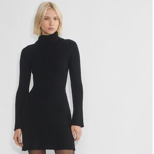 Aritzia Sunday Best Rhapsody Dress